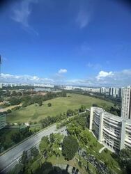 Ivory Heights (D22), Condominium #548553541